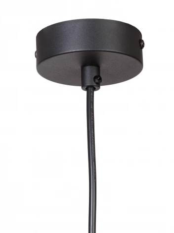 Подвесной светильник с гибким неоном MyFar Alex MR2172-1P (220V, круглые)