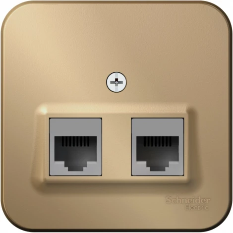 Розетка накладная двойная Ethernet RJ-45 (титан) Systeme Electric Blanca BLNIA045454