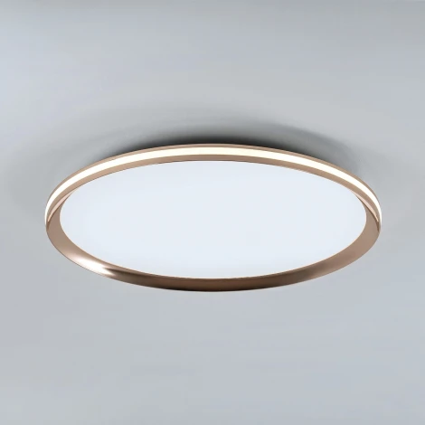 Потолочный светильник светодиодный с пультом с регулировкой цветовой температуры LED4U LED4U L3020-500 GD