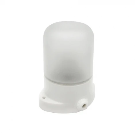 Настенно-потолочный светильник Feron Светильник НББ 01-60-101 УХЛ1 53164