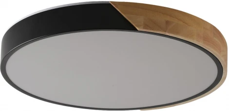 Потолочный светильник круглый Zortes Alberro ZRS.01287.36 (LED, 220V, круглые)