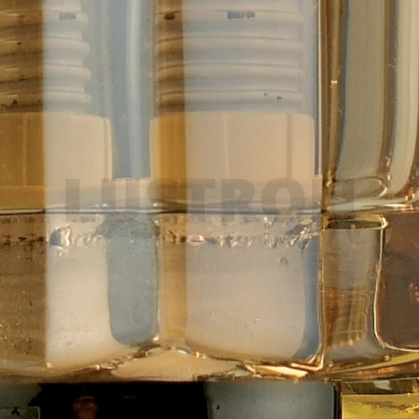 Бра N-Light 919 919-01-31 gold/dark chrome + shampagne