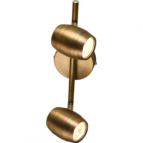 Спот на штанге Lussole Loft Tuscaloosa LSP-9567 (220V, круглые, IP21)