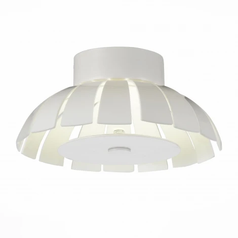 Потолочный светильник уличный ST Luce Corto SL559.503.01
