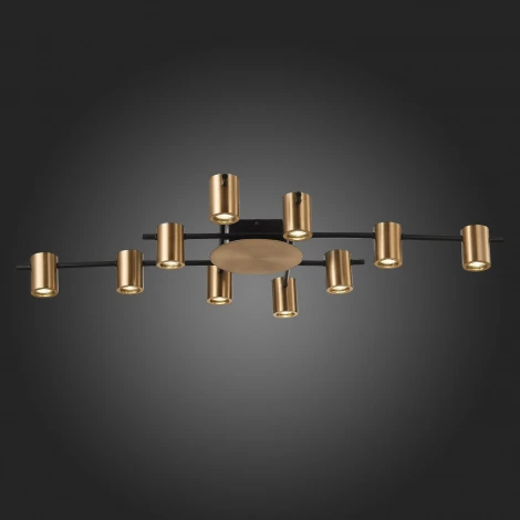 Потолочная люстра ST Luce Veroli SL1207.402.10 (220V)