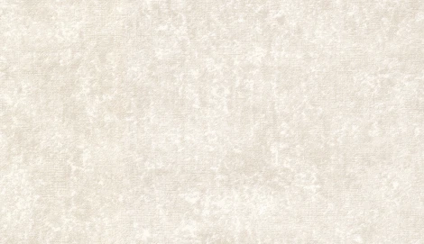 Обои виниловые Marburg Padua Classic 57309 10,05 x 1,06 м