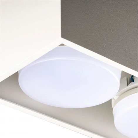 Накладной светильник Ritter Arton 51403 9