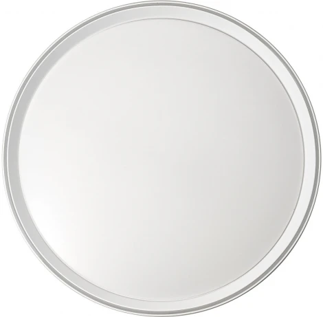 Потолочный светильник RGB круглый Citilux Boss CL751450G (LED, 220V, круглые)