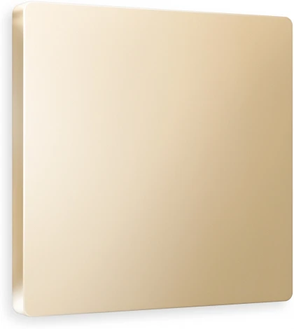 Лицевая панель Ambrella Volt ALFA (Шампань) заглушка для суппорта QUANT AP6160