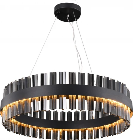 Подвесная/потолочная люстра Favourite Marquis 4262-6P (LED, 220V, на тросе, круглые)