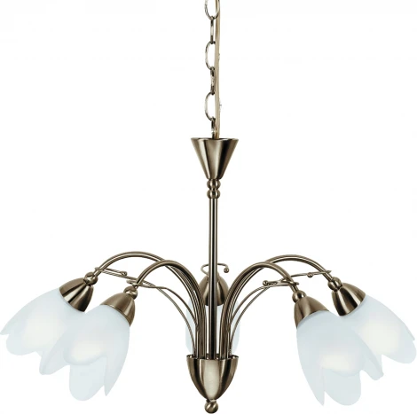Подвесная люстра Arte Lamp Petal A4905LM-5AB