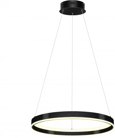 Подвесной светильник светодиодный Lightstar Rotonda 736417 (220V, на тросе, кольцо)