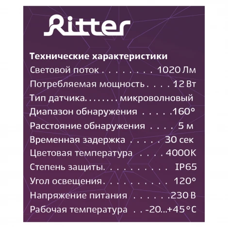 Настенно-потолочный светильник светодиодный с датчиком движения Ritter 56033 3