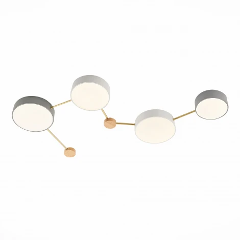 Потолочная люстра Evoluce Dossena SLE600102-04 (LED, 220V)