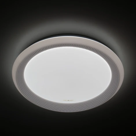 Потолочная люстра Eurosvet Weave 40013/1 LED белый