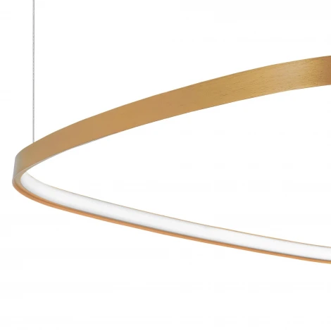 Подвесной светильник светодиодный Lightstar Saturno 749223 (220V, на тросе)