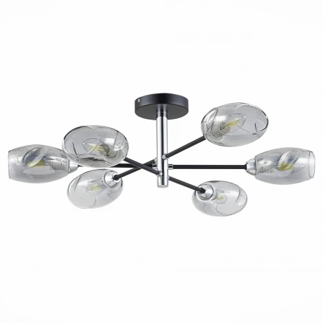 Потолочная люстра Evoluce Gloa SLE155512-06 (220V, шарики)