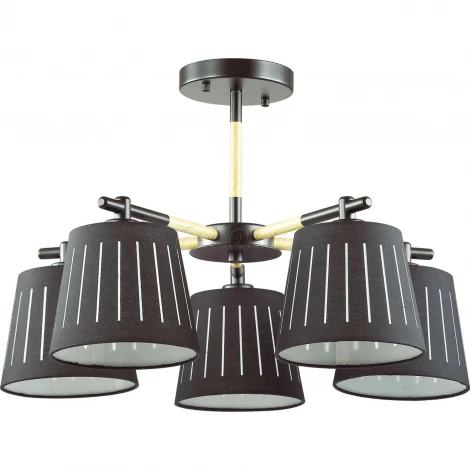 Потолочная люстра Odeon Light Nicola 4110/5