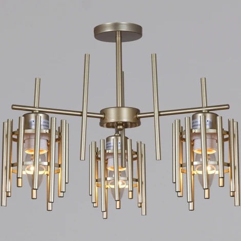 Потолочная люстра на штанге Reluce 01508-0.3-03 PG (220V)