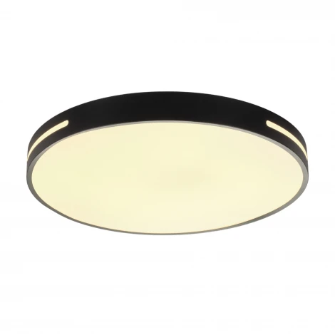 Потолочный светодиодный светильник круглый MyFar Oberon MR9100-CL (регулировка яркости, 220V, пульт управления, круглые)