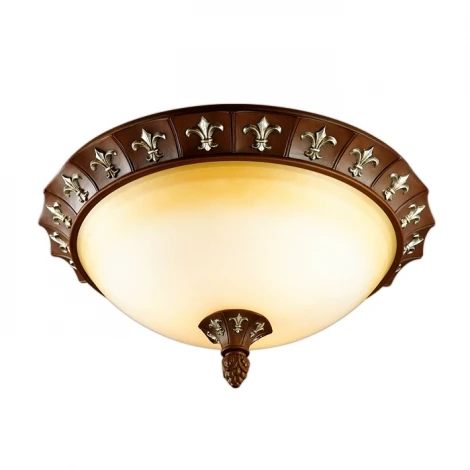 Потолочный светильник Odeon Light Ridera 2784/3C