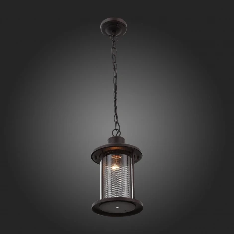 Уличный светильник подвесной ST Luce Lastero SL080.403.01 (220V, на цепи, IP54)