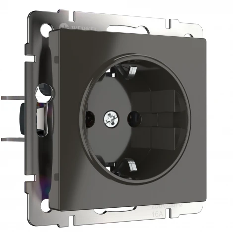 Розетка с заземлением (серо-коричневый) W1171007 (a050837)