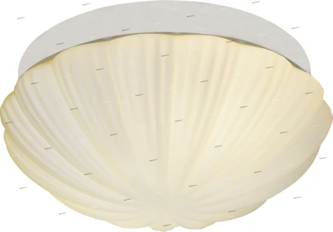 Потолочный светильник ST Luce Bagno SL495.502.02