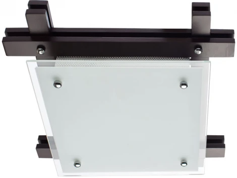 Потолочный светильник Arte Lamp Archimede A6462PL-2CK