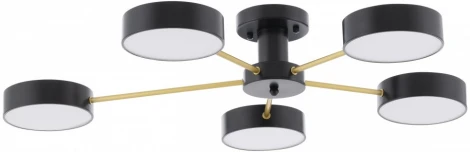 Потолочная люстра светодиодная на штанге Arte Milano Ferrara 252006/5 Bk/Bk (220V, круглые)