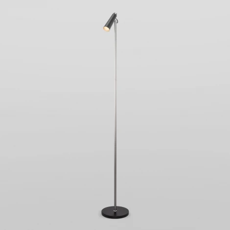 Торшер Eurosvet Joel 80430/1 серебро/хром