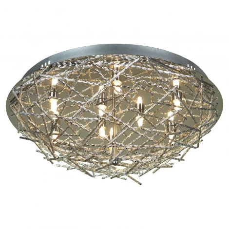 Потолочный светильник Lussole Avacelli LSQ-0602-09
