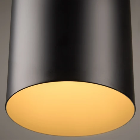 Подвесной светильник Freya Achillea FR5400PL-01B (220V, на тросе)