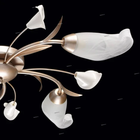 Потолочная люстра MW-Light Восторг 242016205