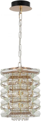 Подвесной светильнк ST Luce Strozzi SL6137.203.01 медь/прозрачный E14 1*40W (220V, на цепи, круглые)