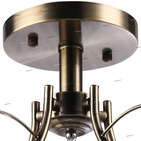 Потолочная люстра J-Light Lamia 1081/5C