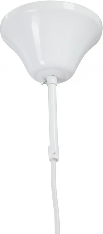 Подвесной светильник V2993-0/1S Vitaluce (220V, на проводе, шар)