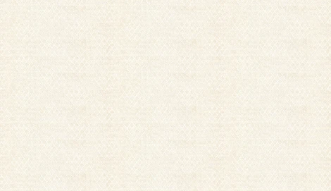 Обои виниловые Marburg Padua Classic 57317 10,05 x 1,06 м