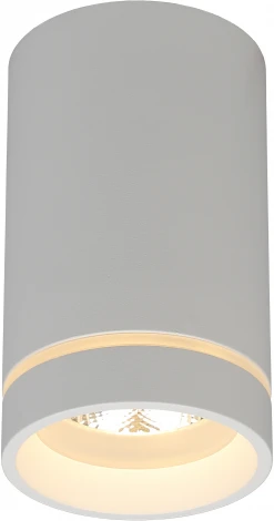 Накладной точечный светильник Aployt Edda APL.0053.09.10 (LED, 220V, круглые)