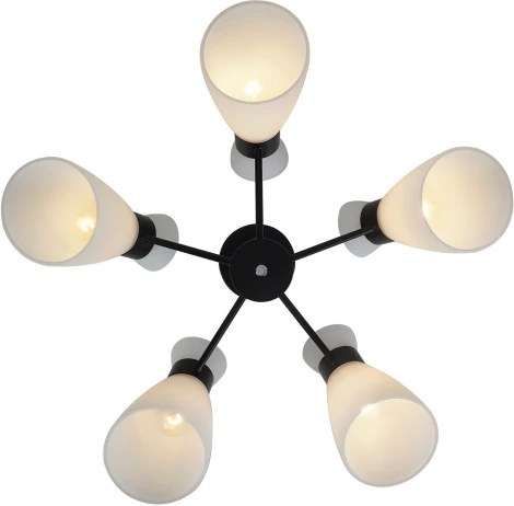Потолочная люстра на штанге Reluce 01416-0.3-05 BK+CR