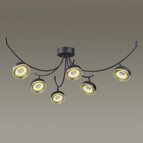 Потолочная люстра Odeon Light Fineca 3812/42CL