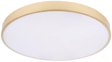 Потолочные светильники Loft It Flims 10228/B (LED, 220V, круглые)