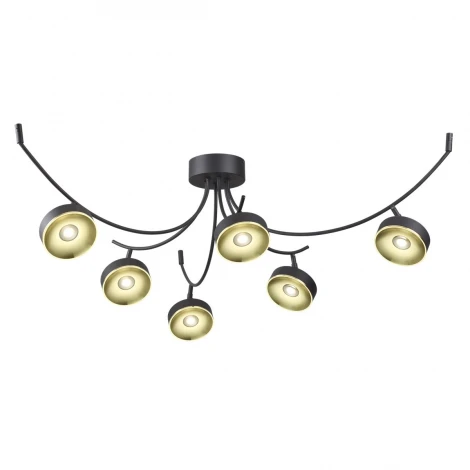 Потолочная люстра Odeon Light Fineca 3812/42CL