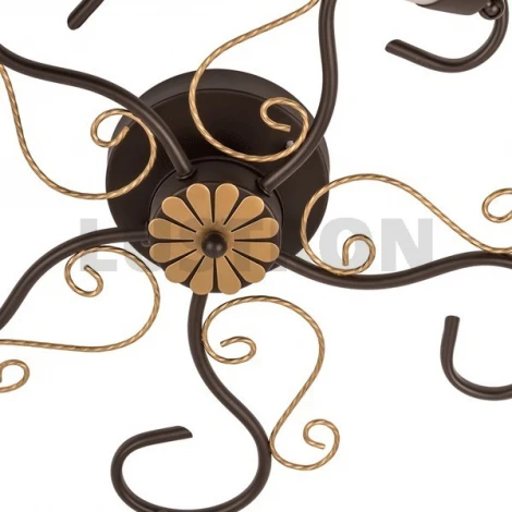 Потолочная люстра MW-Light Аида 323014805