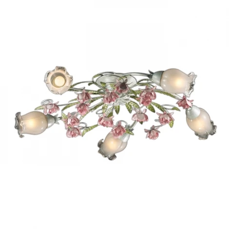 Потолочная люстра Odeon Light Ameli 2252/5C