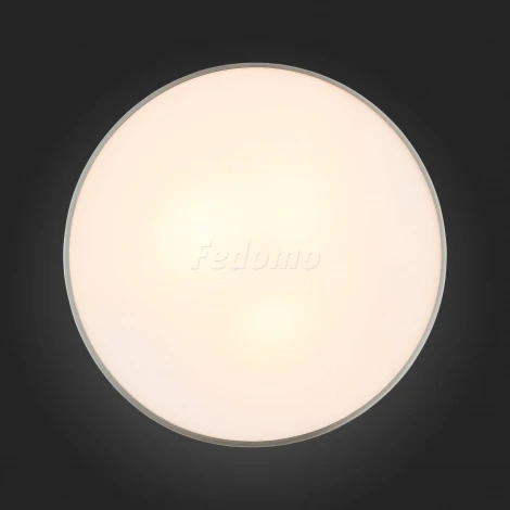 Настенно-потолочный светильник ST Luce Bagno SL468.502.03