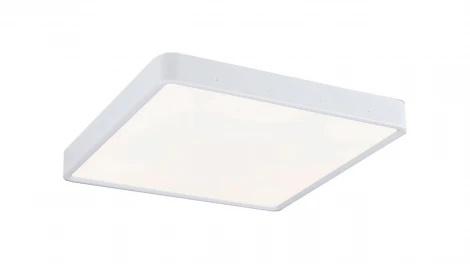 Потолочный светильник Elektrostandard DLR020-DLS020 DLS034 24W 4200K (LED, 220V)