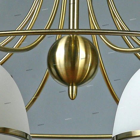 Brizzi Almeria MA02401CB/008 Bronze