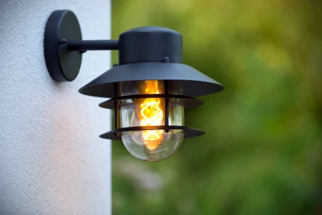 Настенный фонарь уличный Lucide Zico 11874/01/30 (220V, IP44)