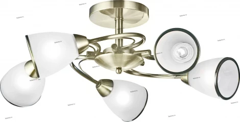 Потолочная люстра Arte Lamp Innocente A6056PL-5AB